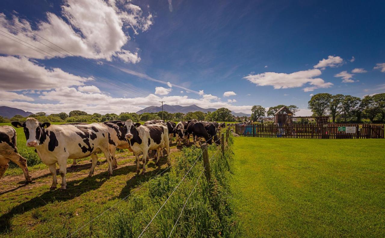 Rookery Mews Apartments - Killarney Self Catering Buitenkant foto